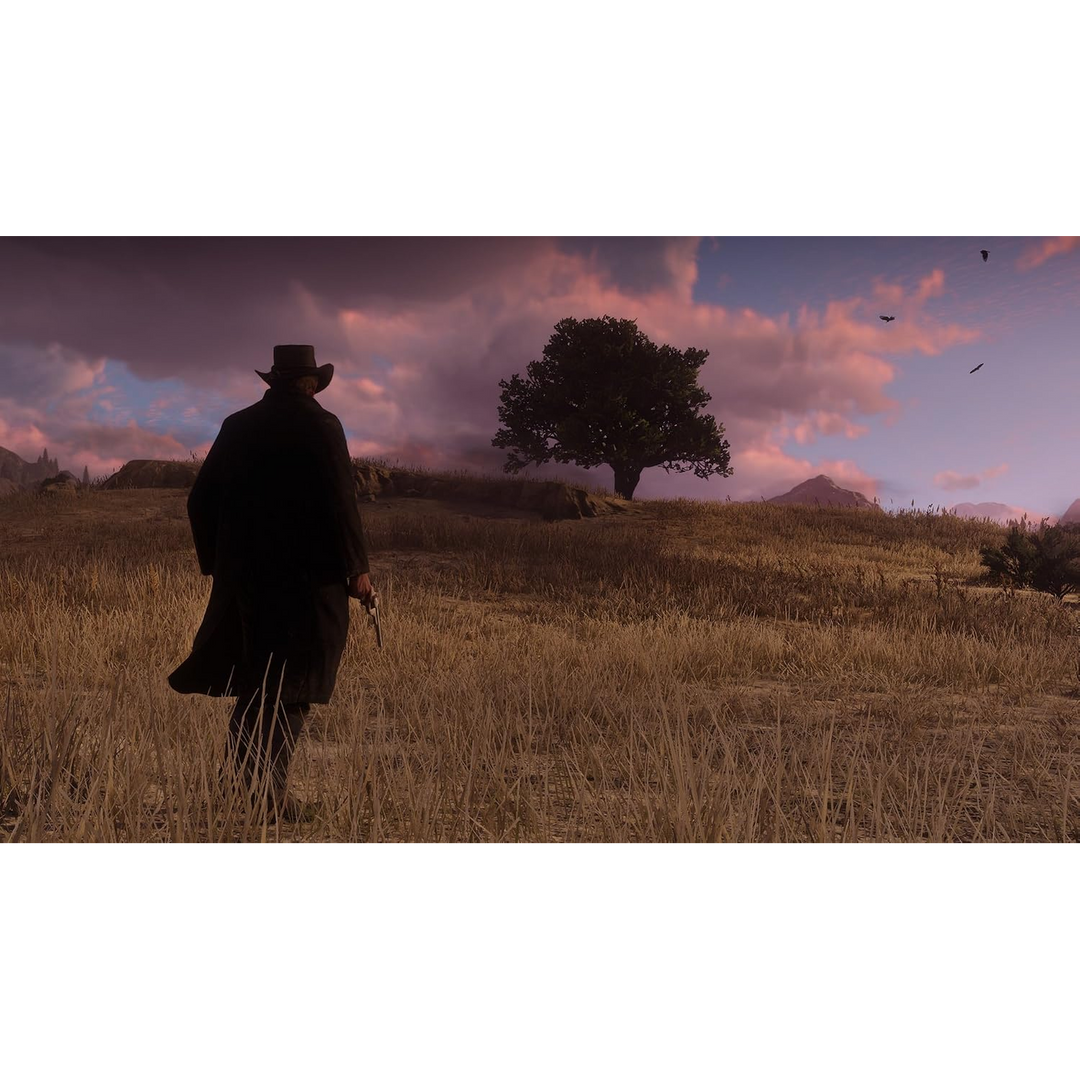 Rockstar Games Red Dead Redemption 2 (PS4)