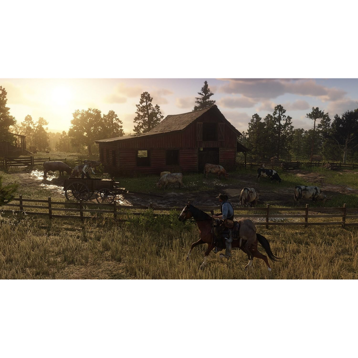 Rockstar Games Red Dead Redemption 2 (PS4)