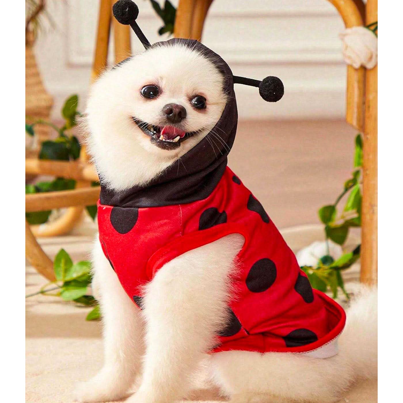 Pet Village Ladybug Cosplay Pet Vest Pet Village Ladybug Cosplay Pet Vest