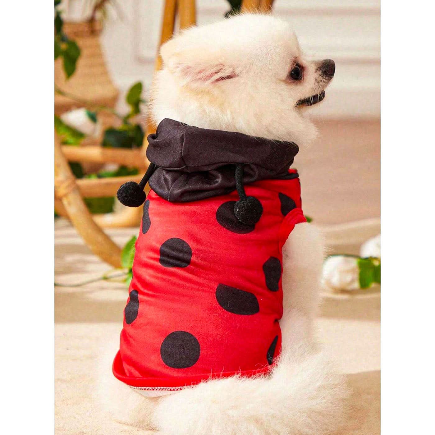 Pet Village Ladybug Cosplay Pet Vest Pet Village Ladybug Cosplay Pet Vest