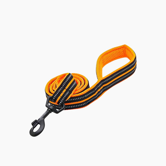 Reflective Nylon Dog Leash