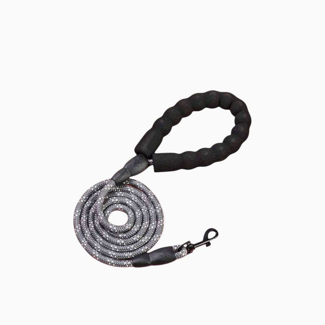 Pet Village Reflective Dog Leash