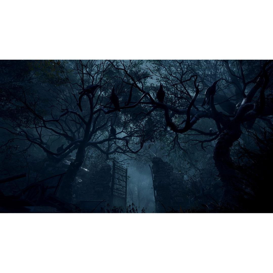 PlayStation 4 Resident Evil 4 Remake Game