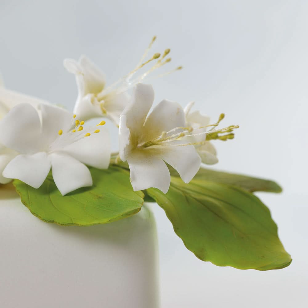 Decora Rose Leaves Cutter - HUNA