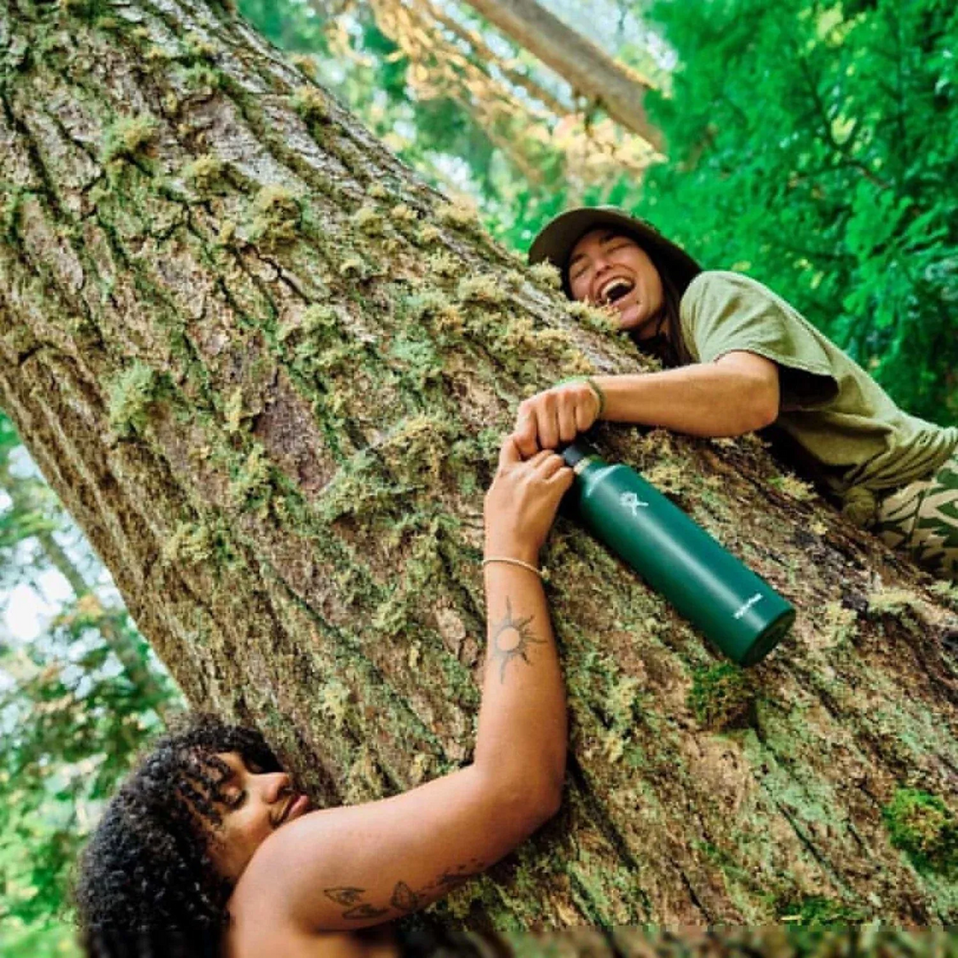 Hydro Flask Standard Flex Cap Water Bottle