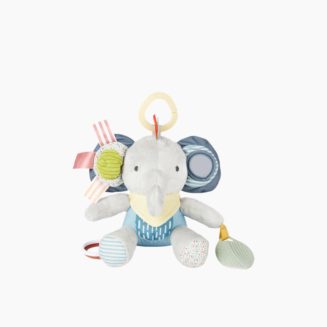Skip Hop Activity Toy