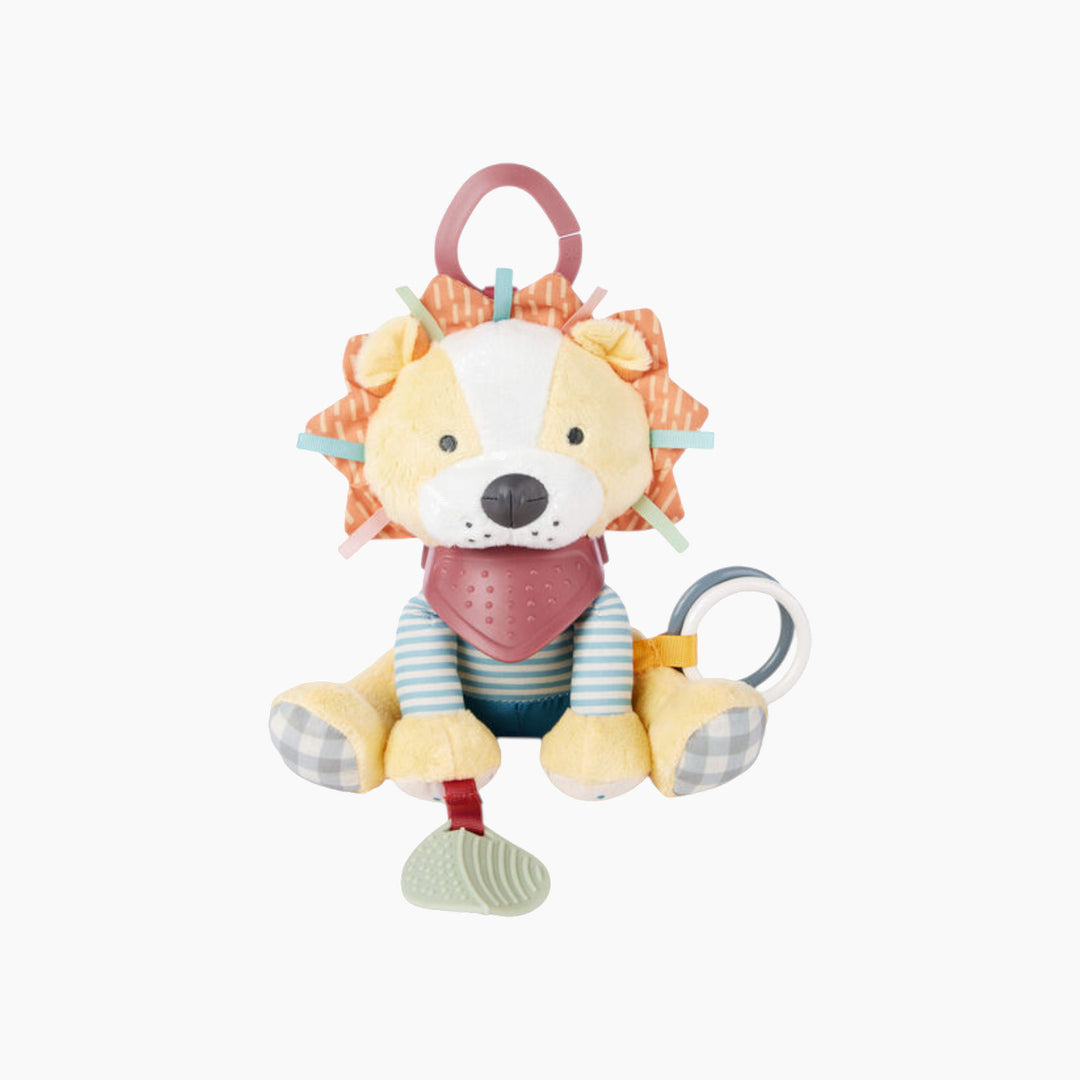 Skip Hop Activity Toy