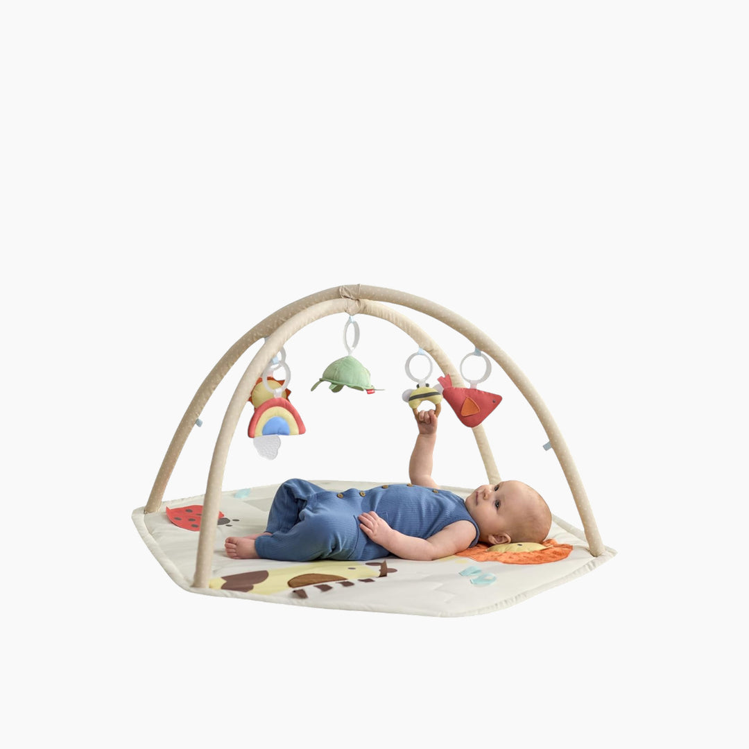 Skip Hop Geometric wonders play Gym