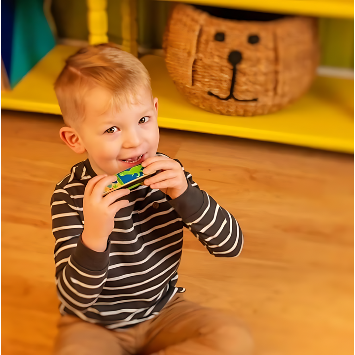 Stephen Joseph Harmonica