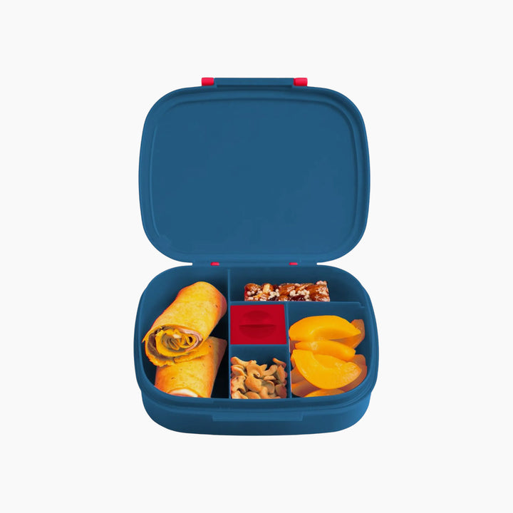 Stephen Joseph Bento Box With  Removable Tray
