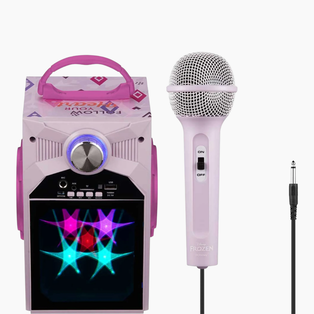 Smd LED Karaoke Machine – DY-1016 Series