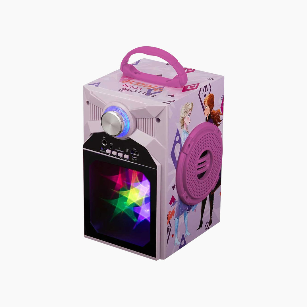 Smd LED Karaoke Machine – DY-1016 Series