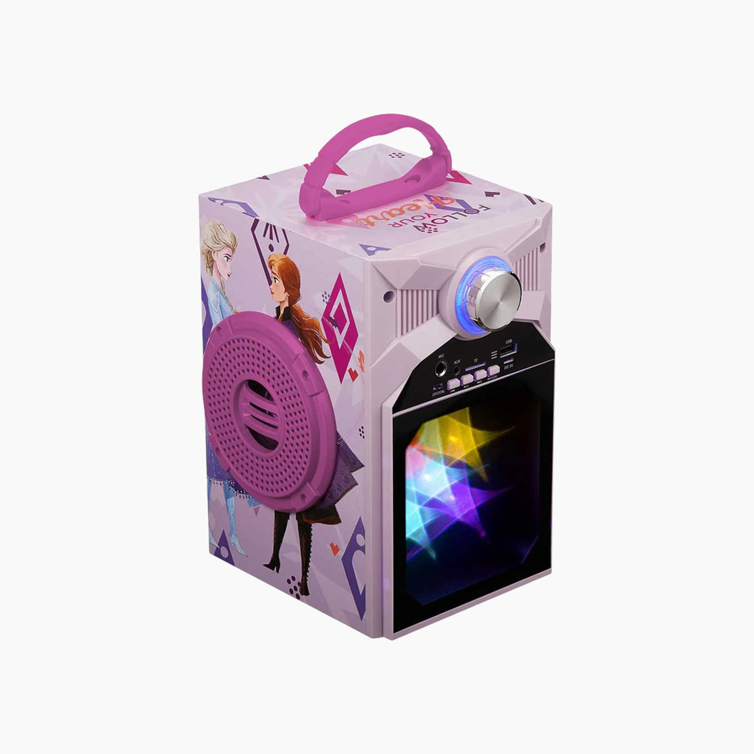 Smd LED Karaoke Machine – DY-1016 Series