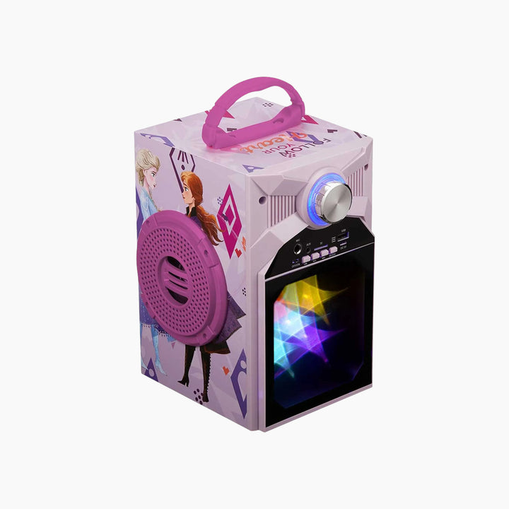 Smd LED Karaoke Machine – DY-1016 Series