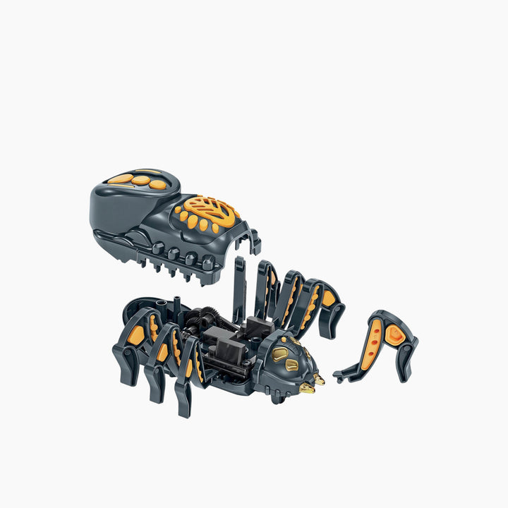 Clementoni Spider Robot (USA)