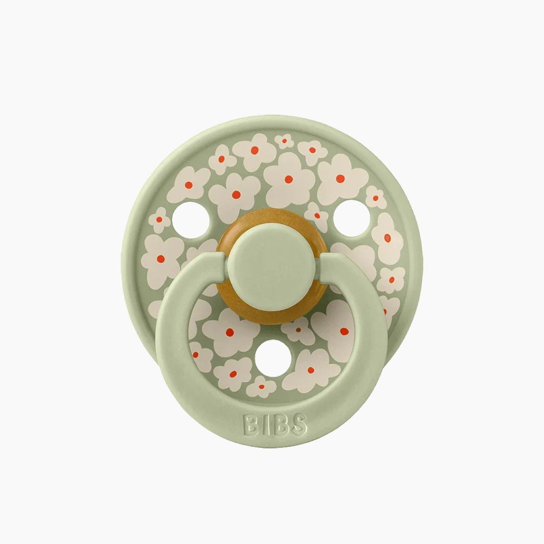 Bibs Studio Colour Pacifiers 2 Pack Jasmine