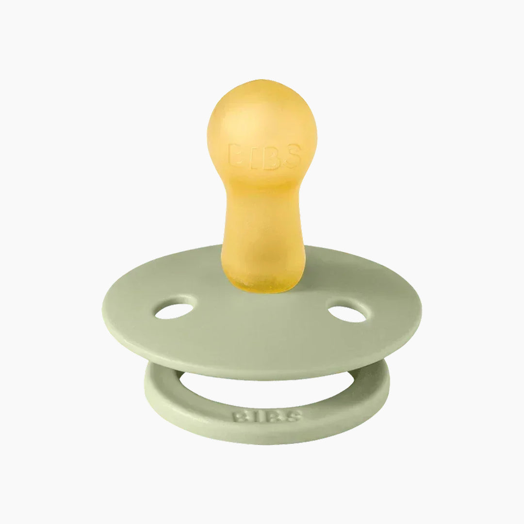 Bibs Studio Colour Pacifiers 2 Pack Jasmine