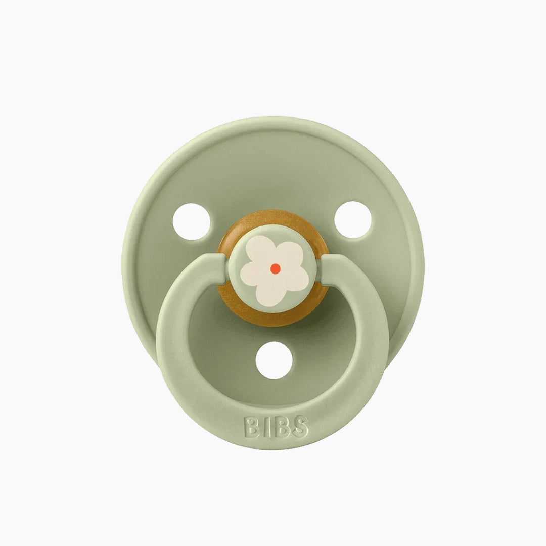 Bibs Studio Colour Pacifiers 2 Pack Jasmine