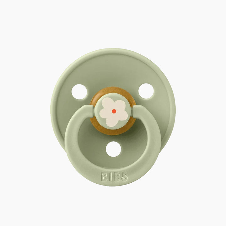 Bibs Studio Colour Pacifiers 2 Pack Jasmine