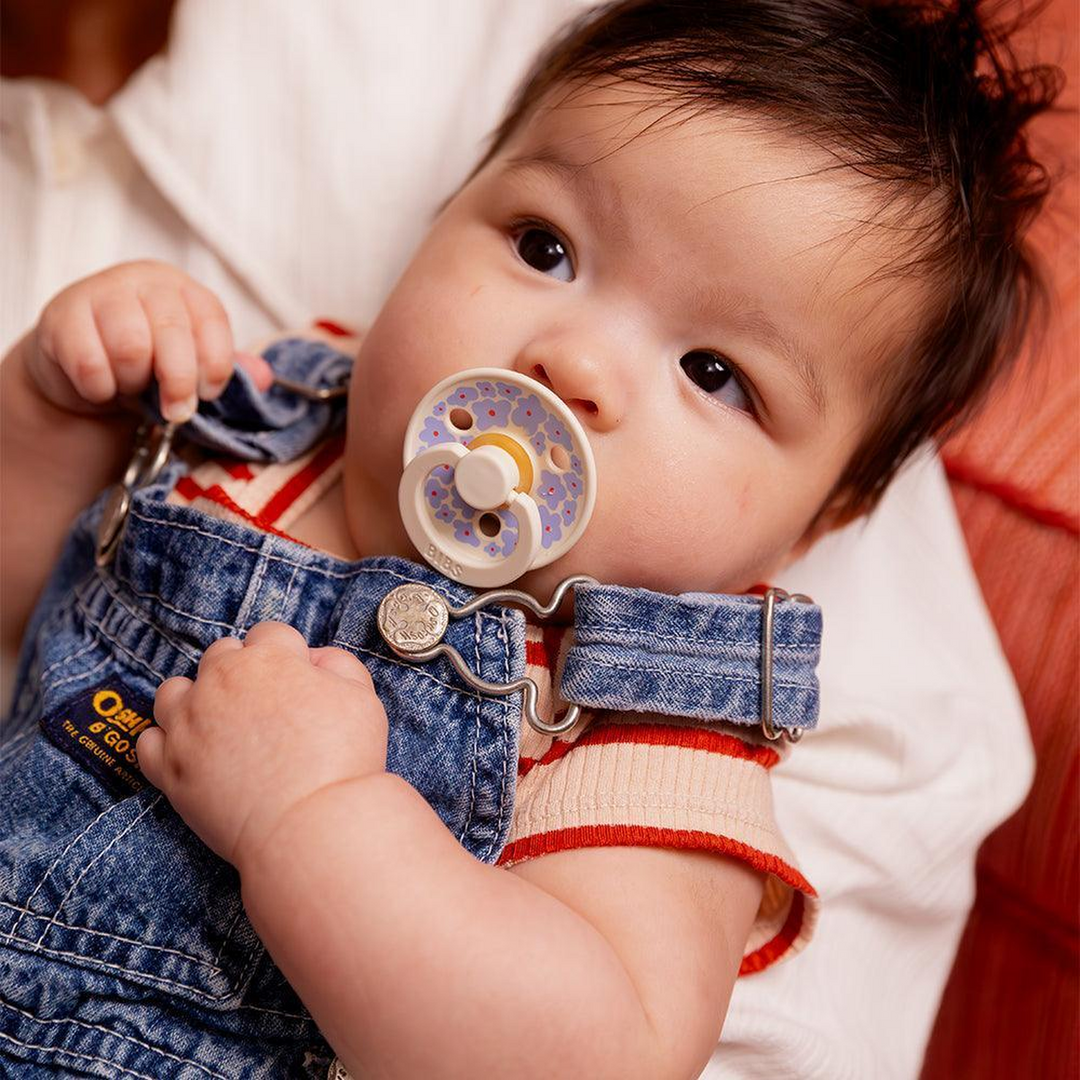 Bibs Studio Colour Pacifiers 2 Pack Jasmine