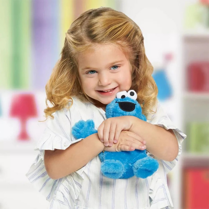 Sup - Sesame Street Friends Small Plush - Cookie Monster