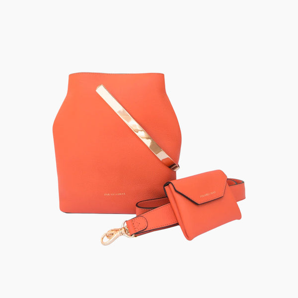 Carine Tote
