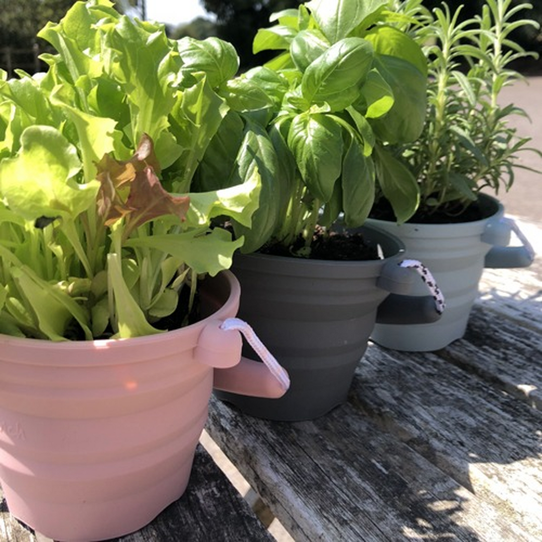 Scrunch Seedling Pot &amp; Trowel - 2 Pieces