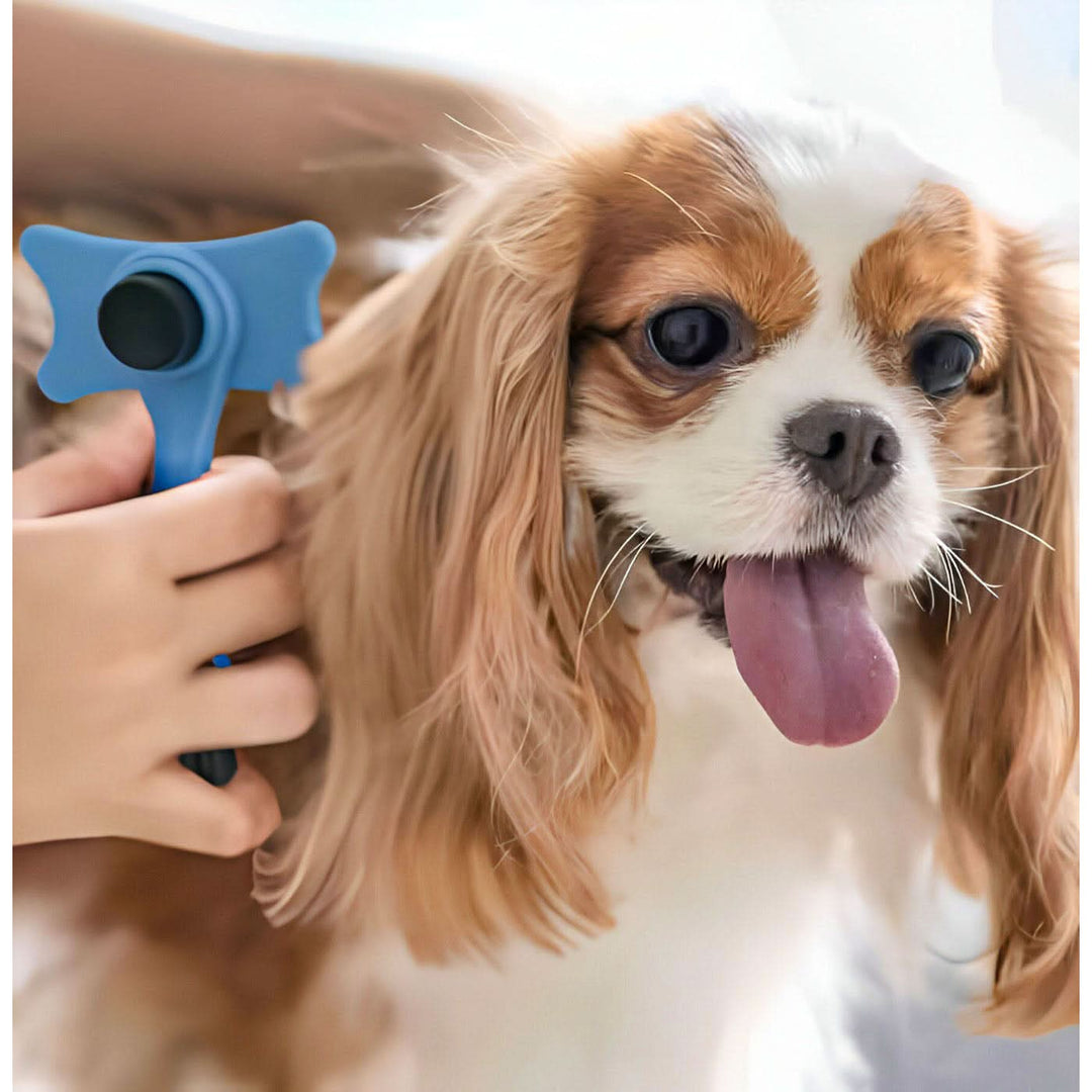 Pet Village Self-Cleaning Retractable Grooming Brush