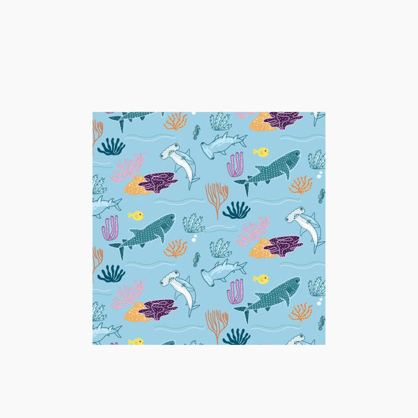 تغليف هدايا أسماك القرش