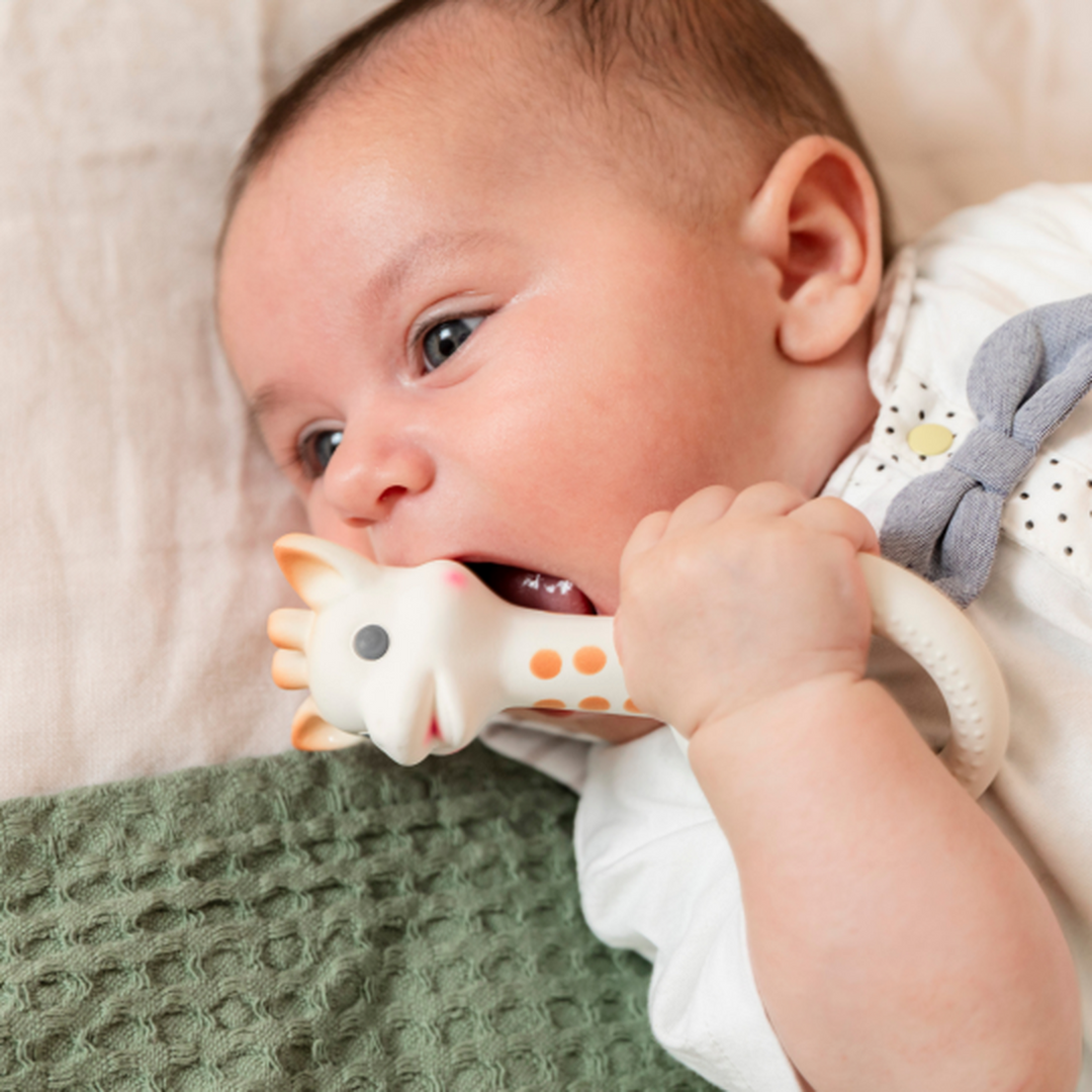 Sophie La Giraffe So&