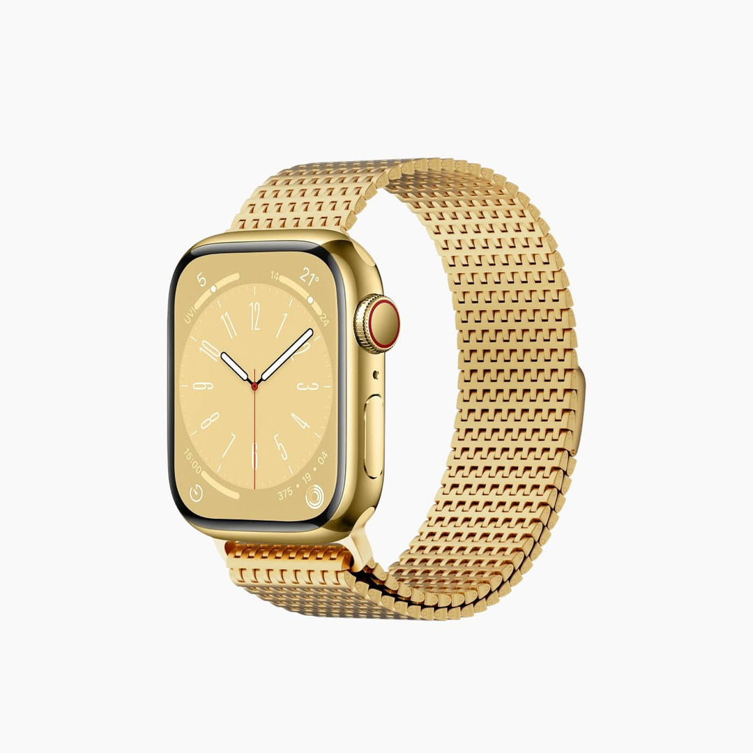 Wiwu Wi-WB002 Stainless Steel Watch Band