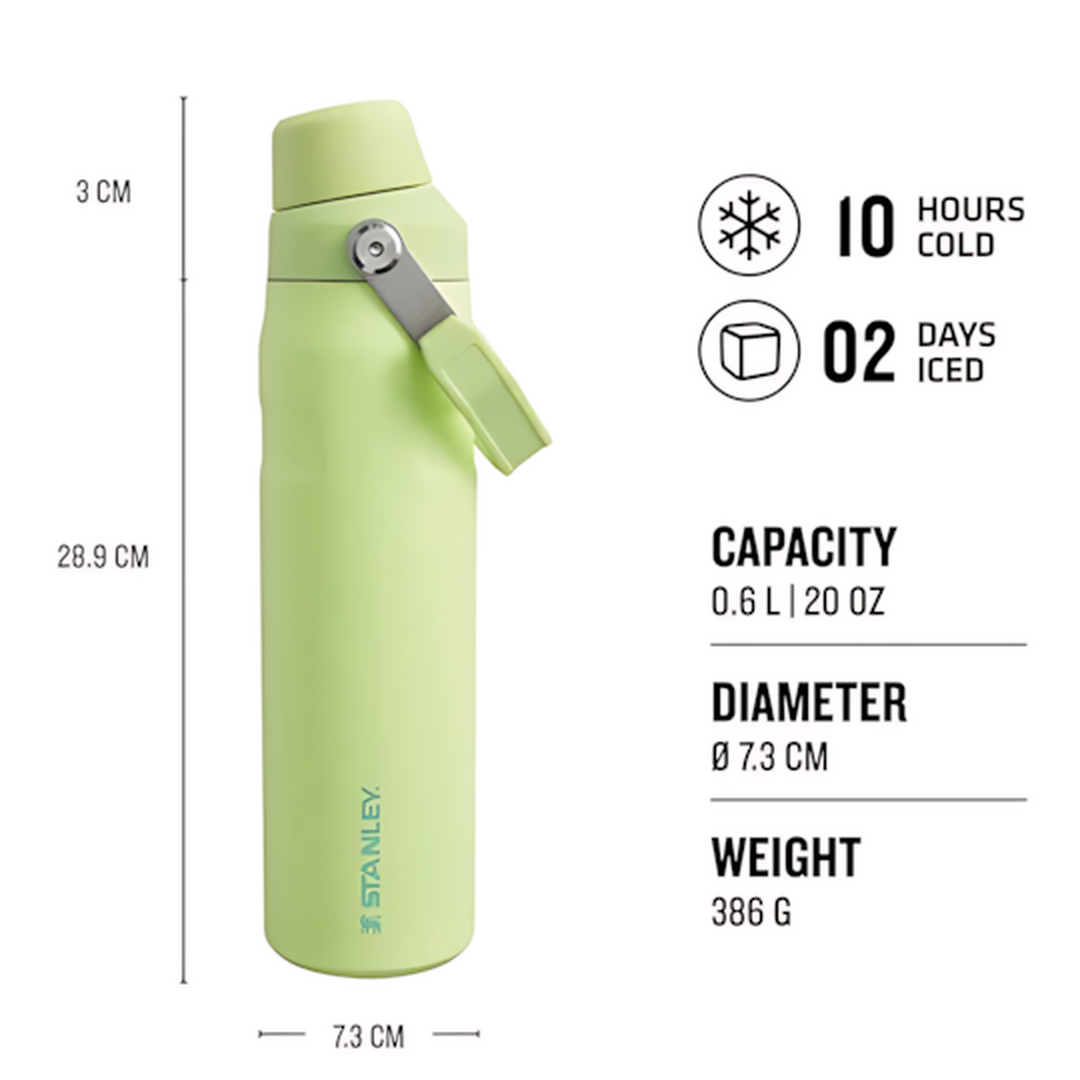 Stanley AeroLight IceFlow Fast Flow Water Bottle 20oz