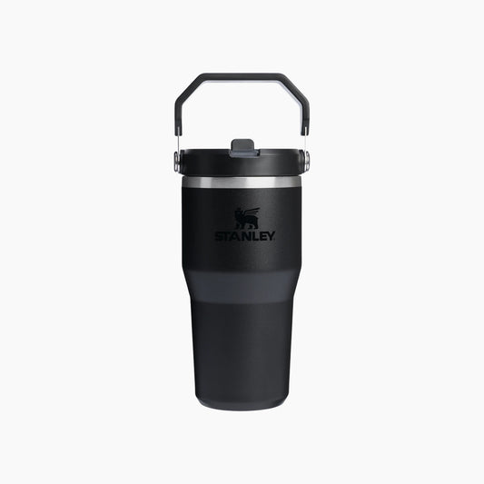 Stanley IceFlow GO Flip Straw Water Bottle 20oz