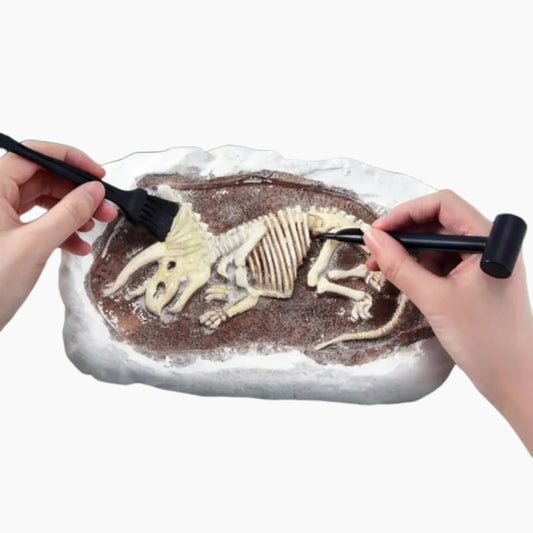 لعبة Mideer Steam Revive Triceratops العمر +6
