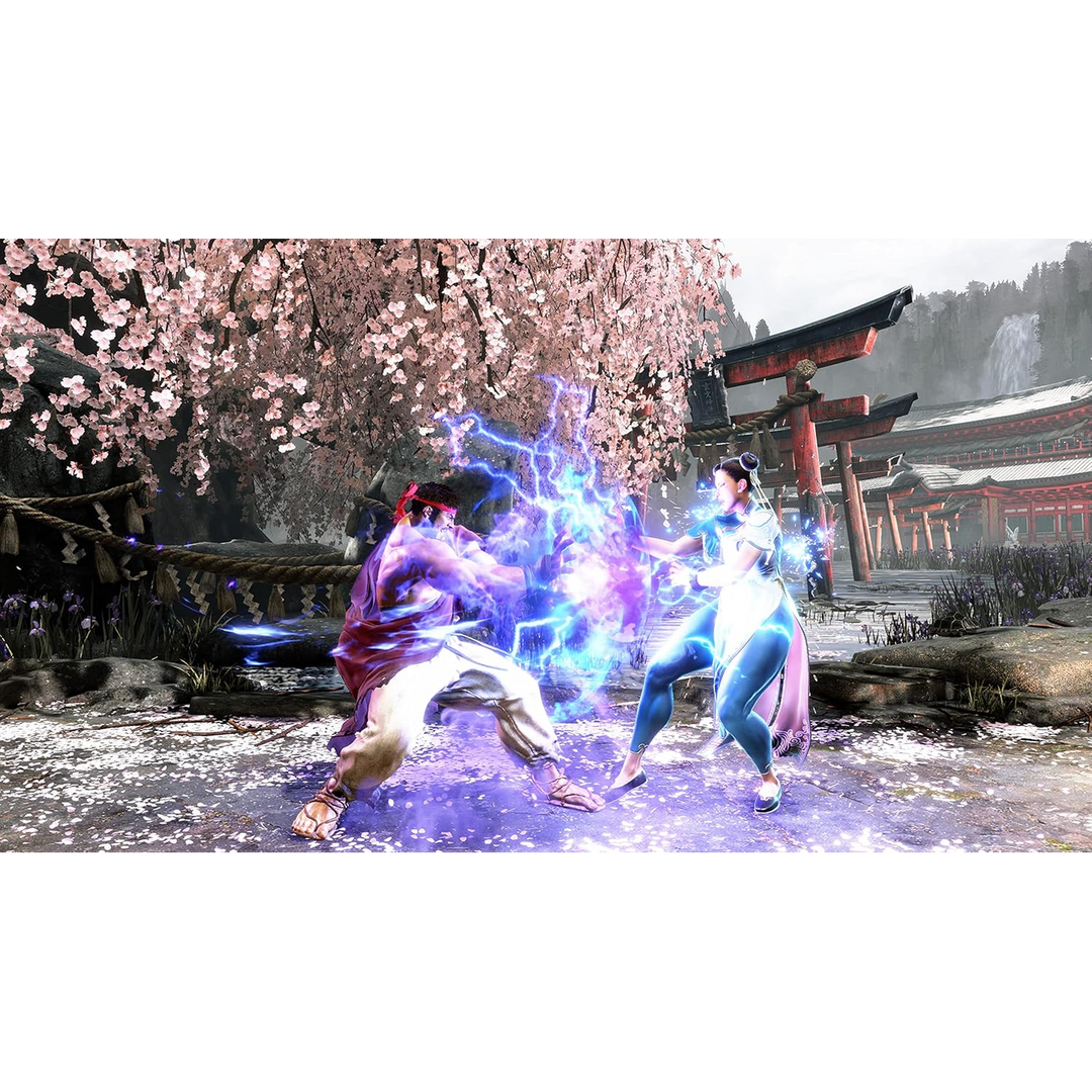 PlayStation 4 Street Fighter Game