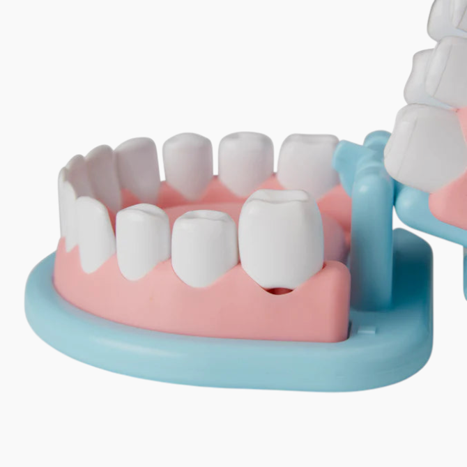 Melissa &amp; Doug Super Smile Dentist Play Set