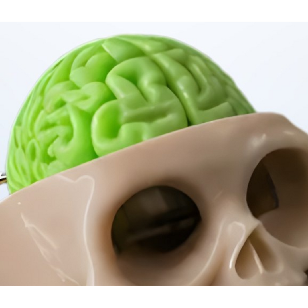 Skull &amp; Brain Keychain