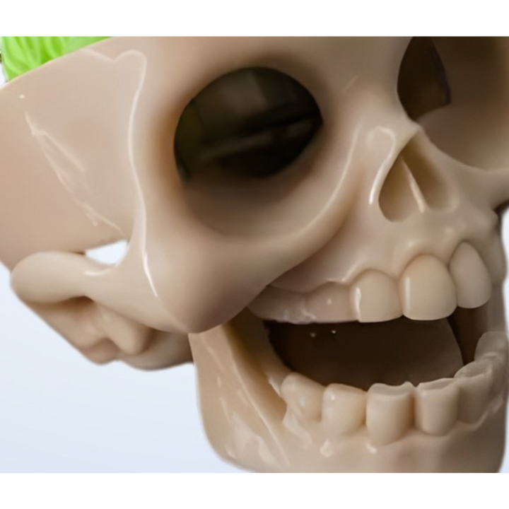 Skull &amp; Brain Keychain
