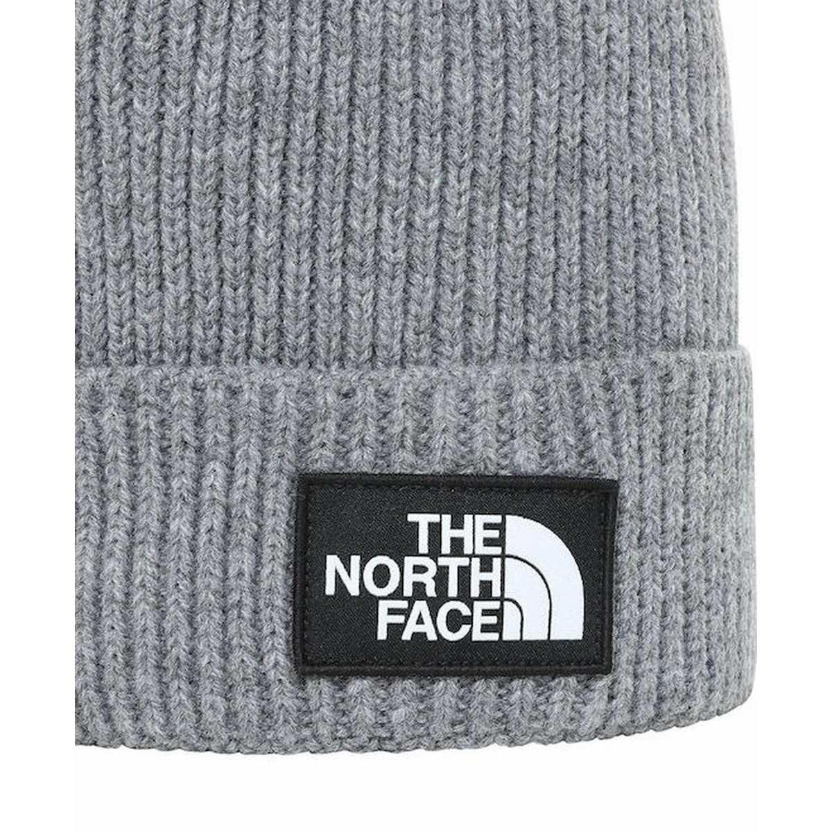 TNFLOGOBOXPOMBEANIE0193393681496_1_framed - HUNA