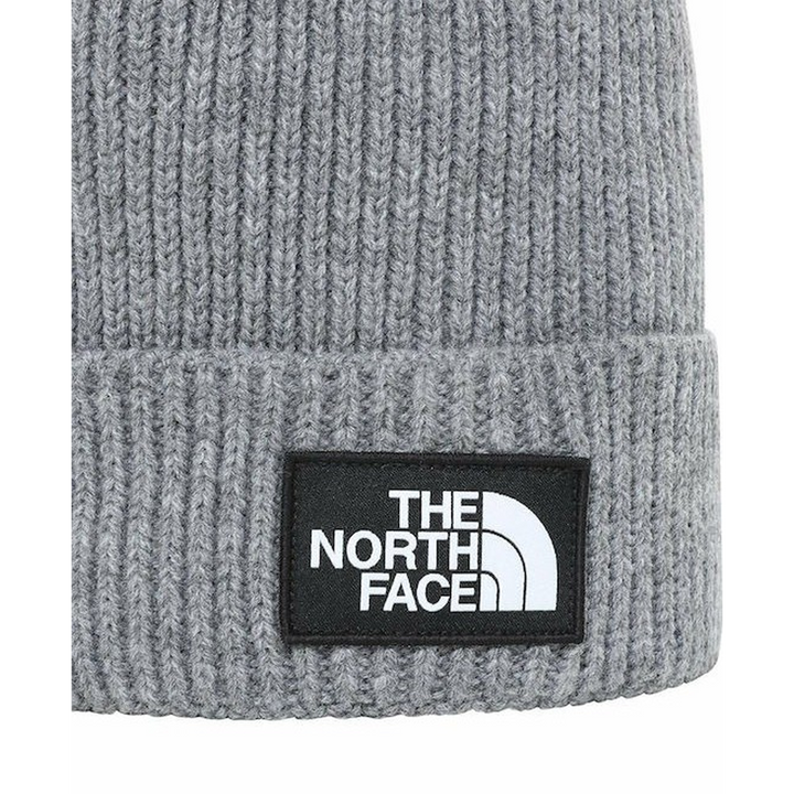 TNFLOGOBOXPOMBEANIE0193393681496_1_framed - HUNA