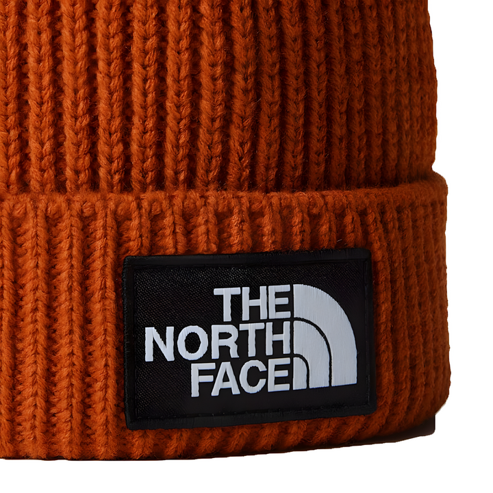 TNFLOGOBOXPOMBEANIE0197064999224_2_framed - HUNA