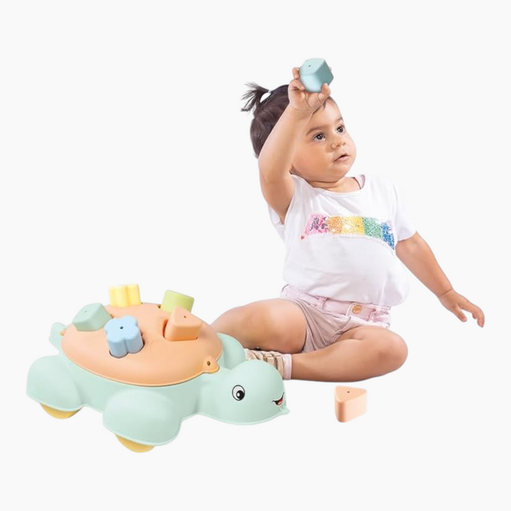 Dolu Turtle Shape Sorter 5 Pcs