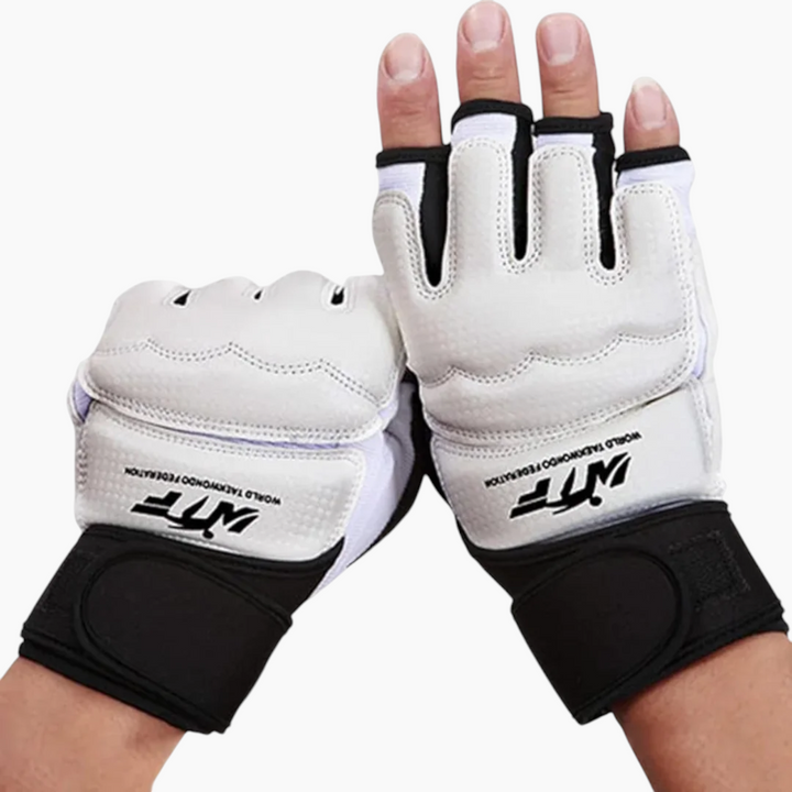Taekwondo Hand Protector