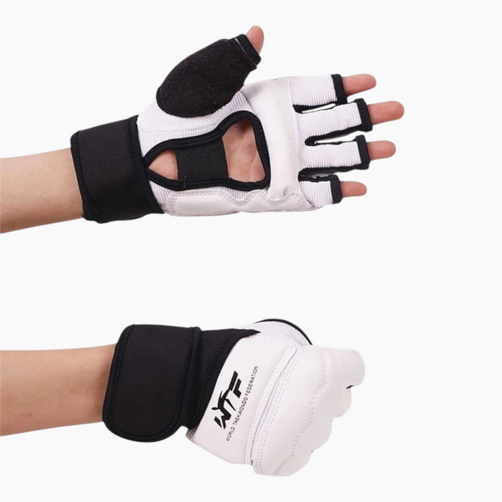 Taekwondo Hand Protector