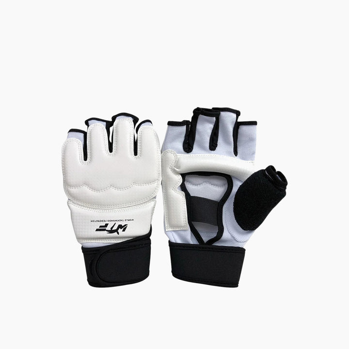 Taekwondo Hand Protector