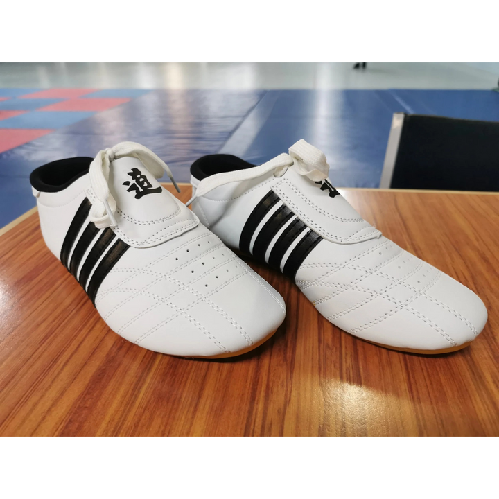 Taekwondo Shoes 654