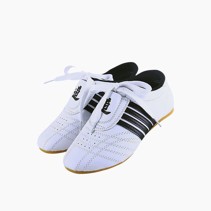 Taekwondo Shoes 654