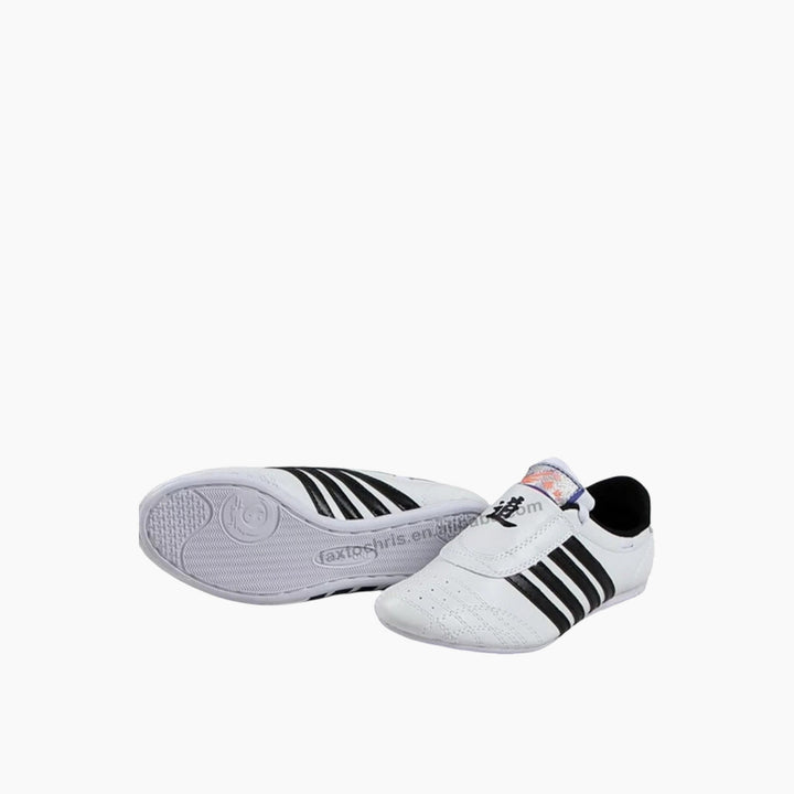 Taekwondo Shoes 1987
