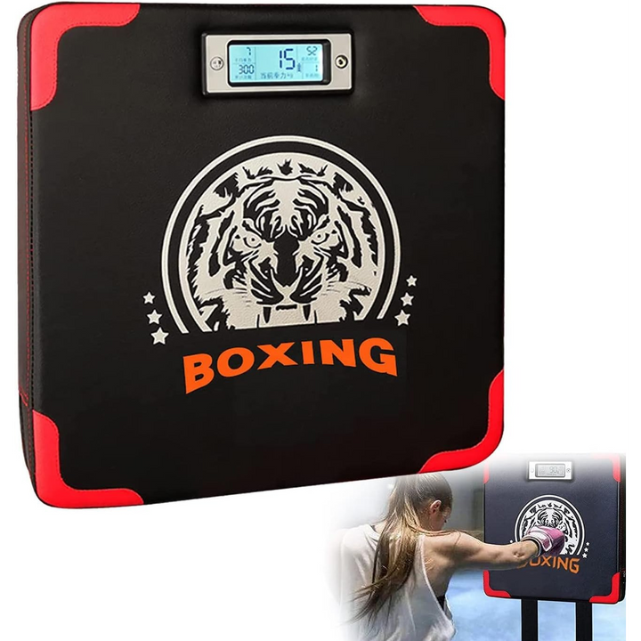 Target Digital Box resistance testing device