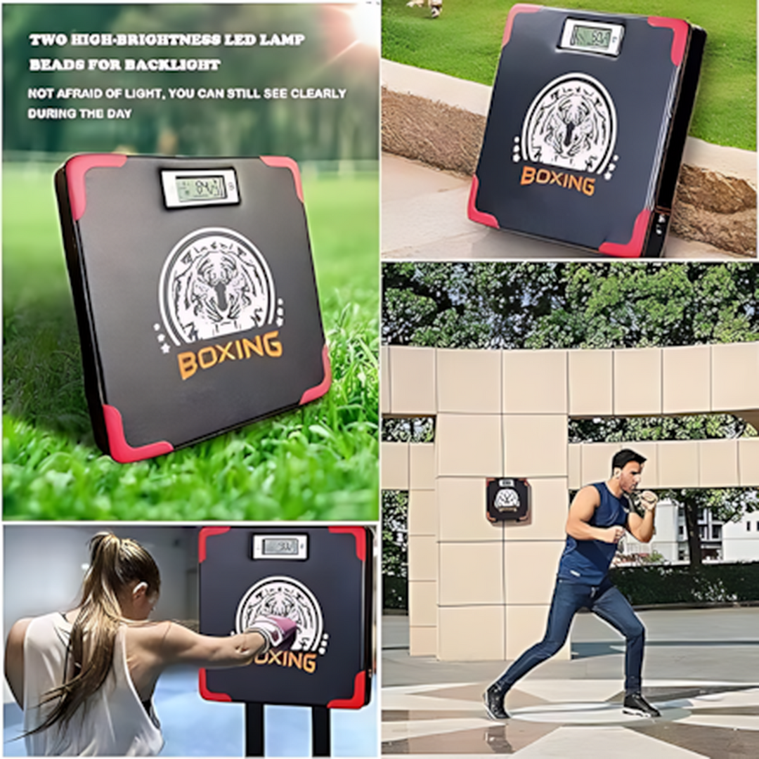 Target Digital Box resistance testing device